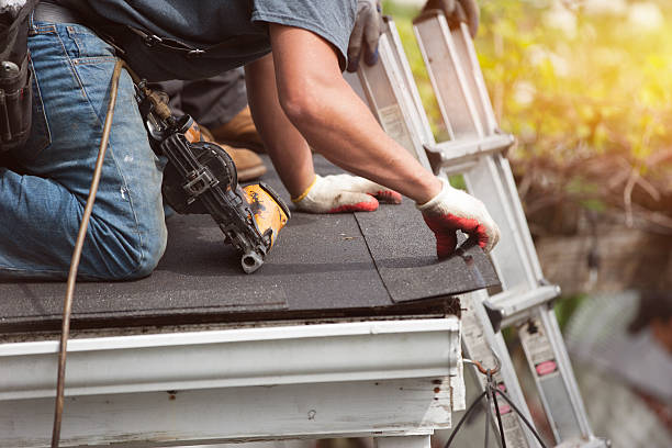 Best Roof Gutter Cleaning  in Jerome, ID